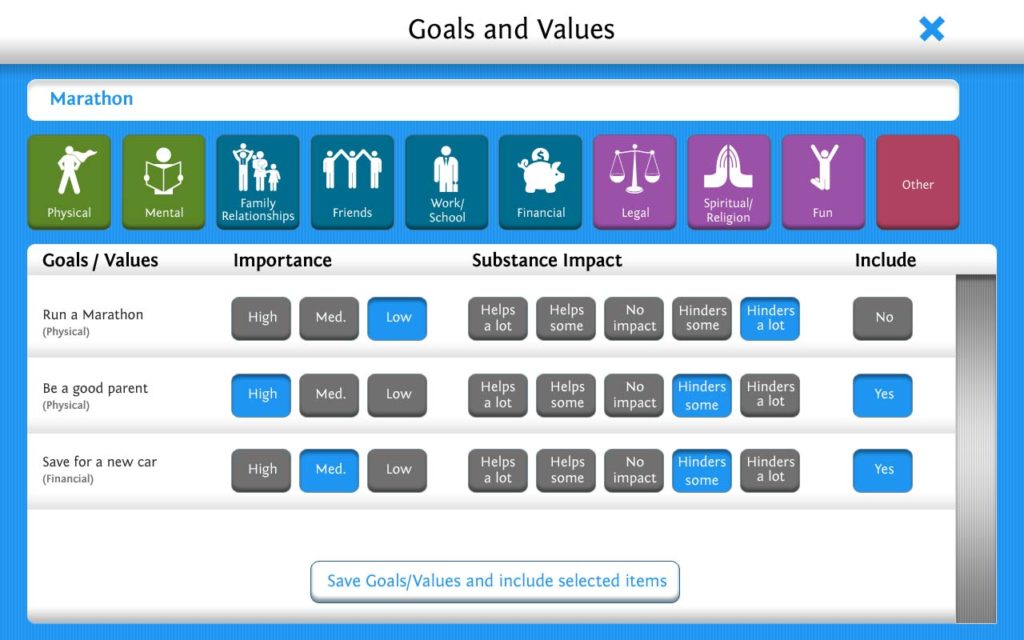 49_GoalsValues_savedentries_V01